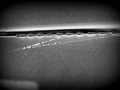 m010 holga