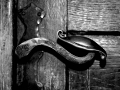 m041 c bw